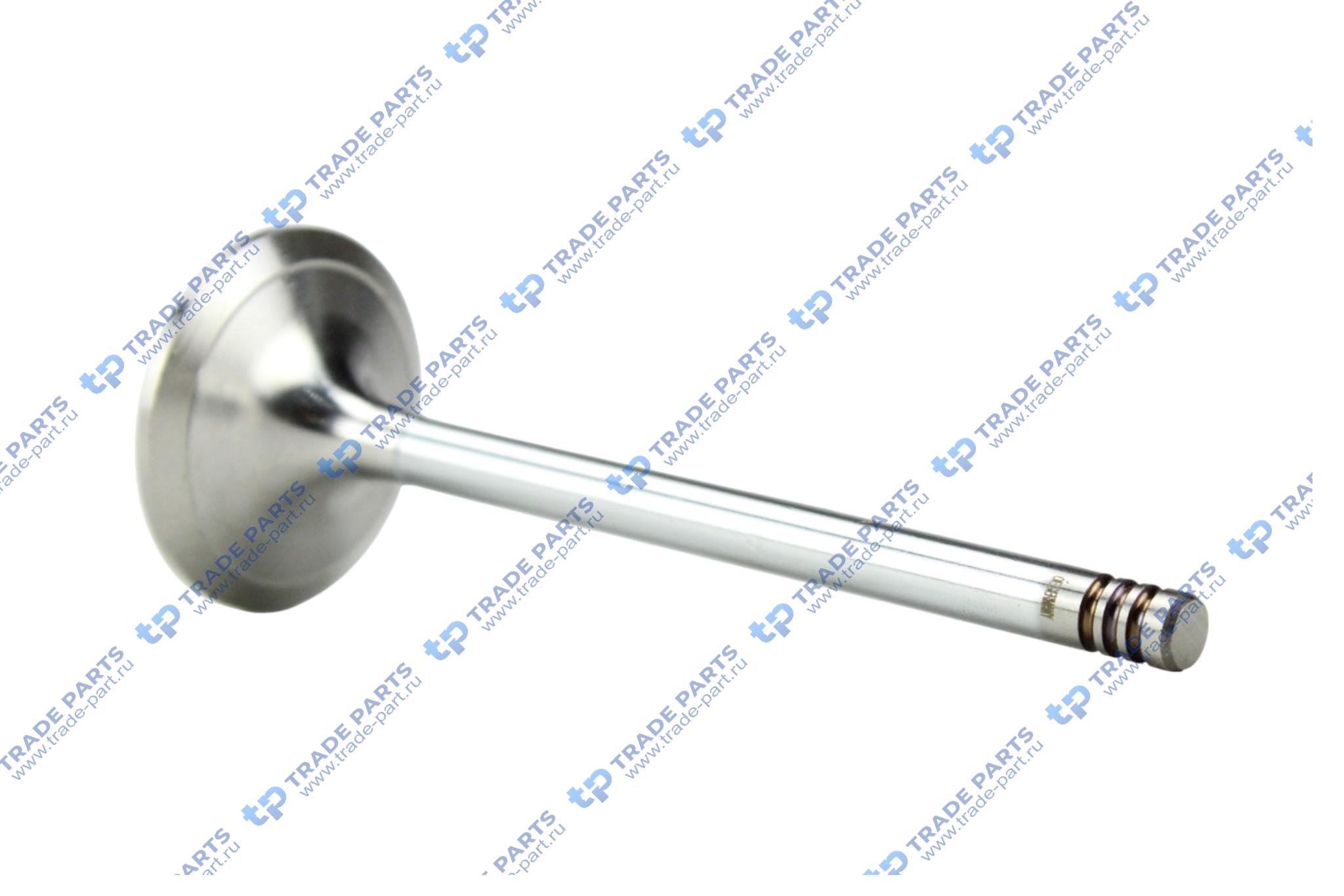 Реальная фотография клапан впускной deutz tcd 2012 l4/l6 2v 8x44.5x121.2