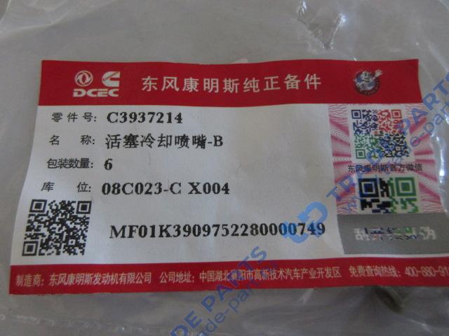 Реальная фотография форсунка охлаждения поршня качество о