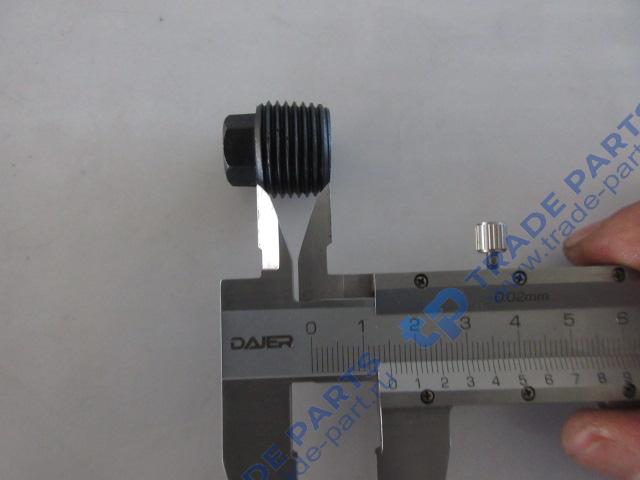 Реальная фотография пробка сливная поддона кпп 4120000345/29050033171