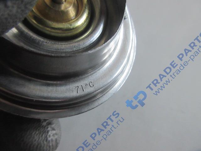 Реальная фотография термостат wp12, wp10.336e53, t=71c x3000