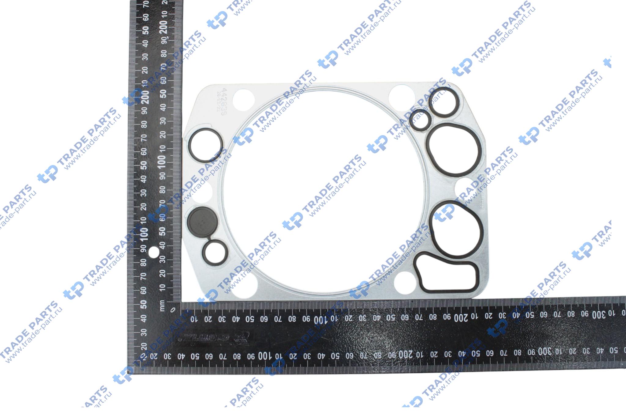 Реальная фотография прокладка гбц обрезин на 1 cyl 125/128/130 mb om401-447