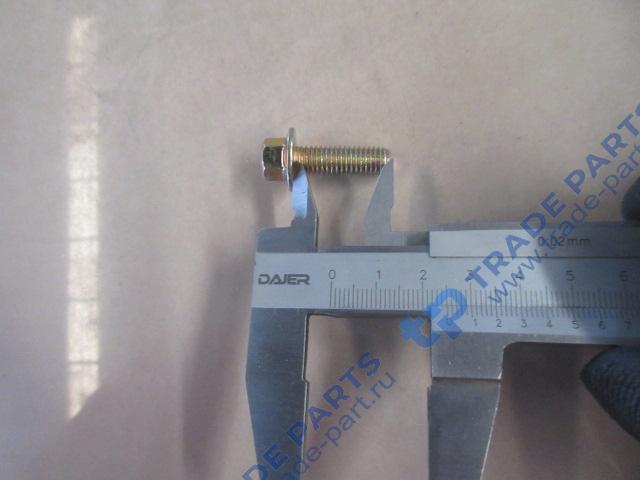 Реальная фотография болт m8*25 с шестигранной головкой sitrak качество о
