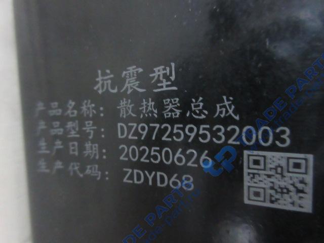 Реальная фотография радиатор системы охлаждения wp13 x3000