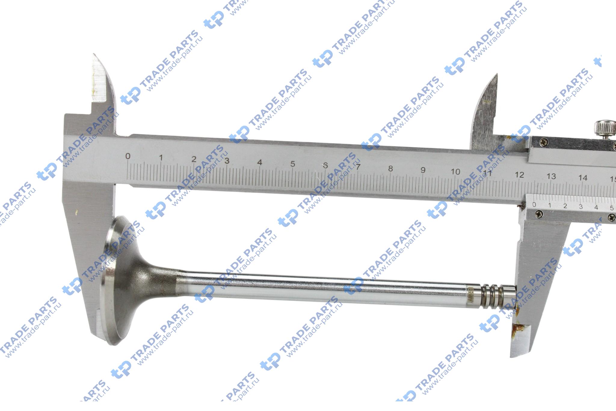 Реальная фотография клапан впускной deutz 8x40x124.7