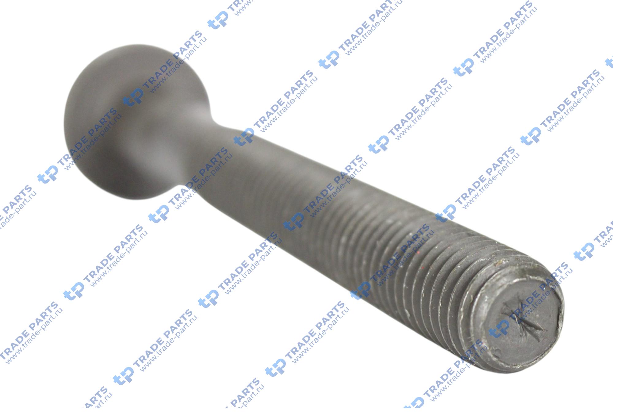 Реальная фотография комплект болтов гбц (м) m12x1.75 l=102 mb sprinter om611/om646 /w210/vito 2.2cdi 98> (10)