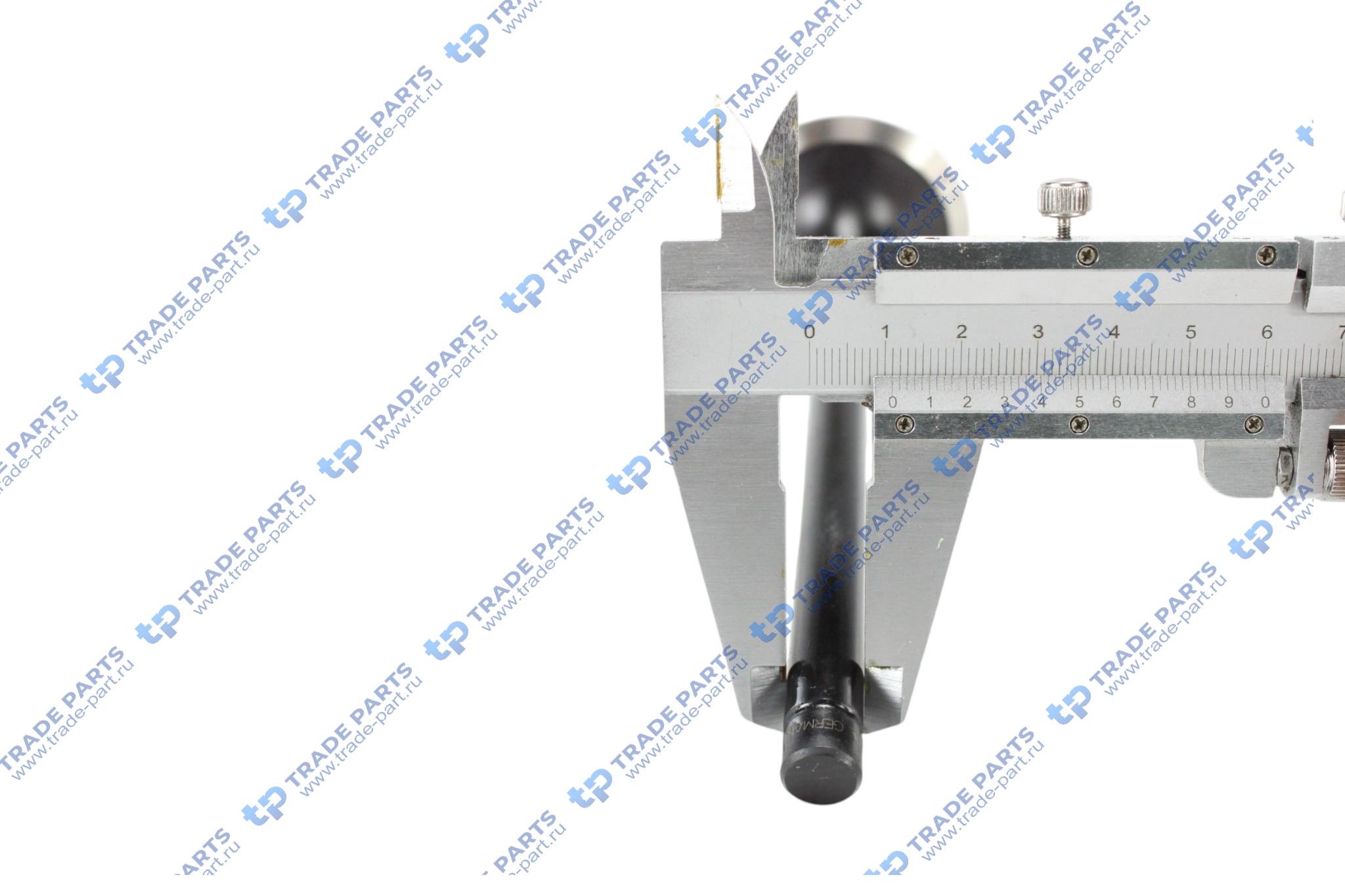 Реальная фотография клапан впускной iveco 8210