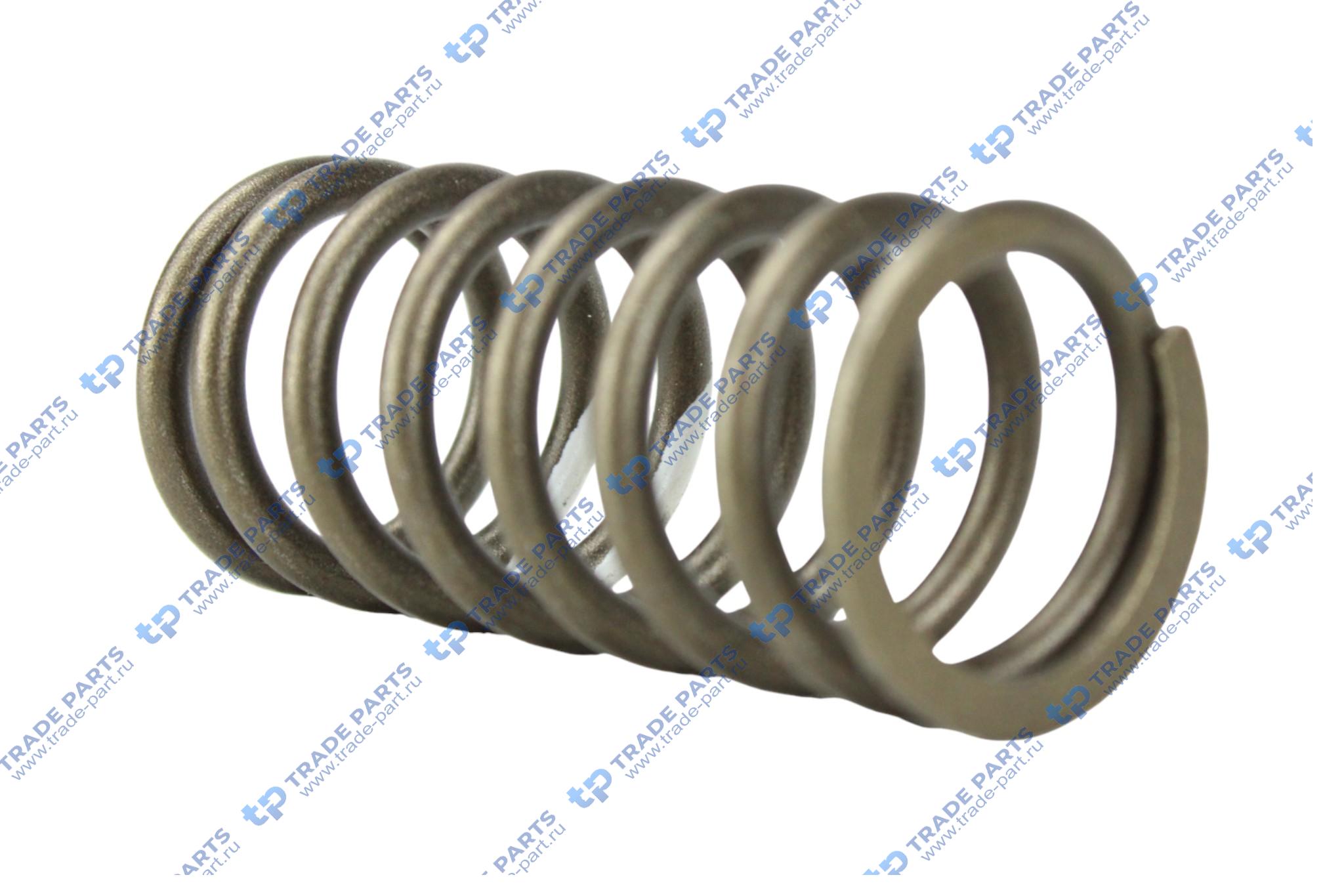 Реальная фотография пружина клапана внешняя man leon r07