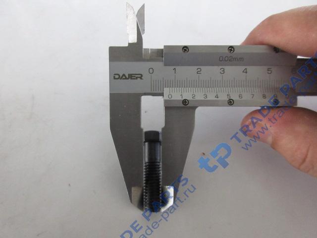 Реальная фотография болт крепления форсунки с6121