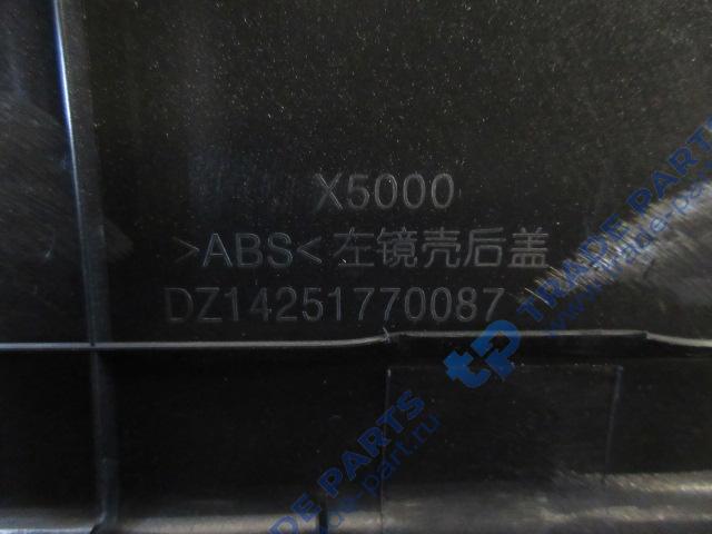 Реальная фотография крышка shaanxi x5000 зеркала левого (под покраску