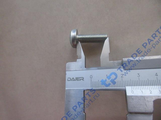Реальная фотография винт м8х25 torx кпп zf