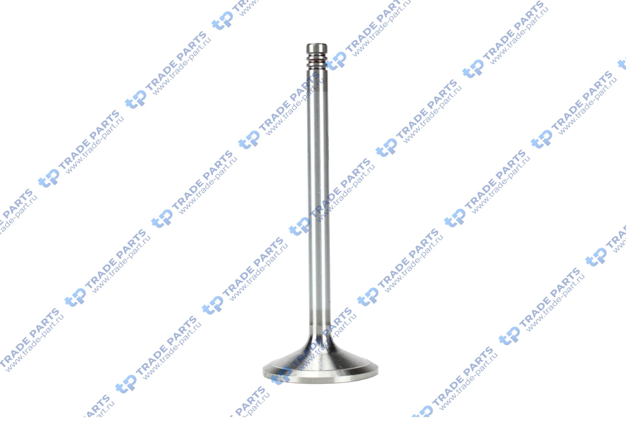 Реальная фотография клапан впускной deutz tcd2013 2v 9x48x135.5