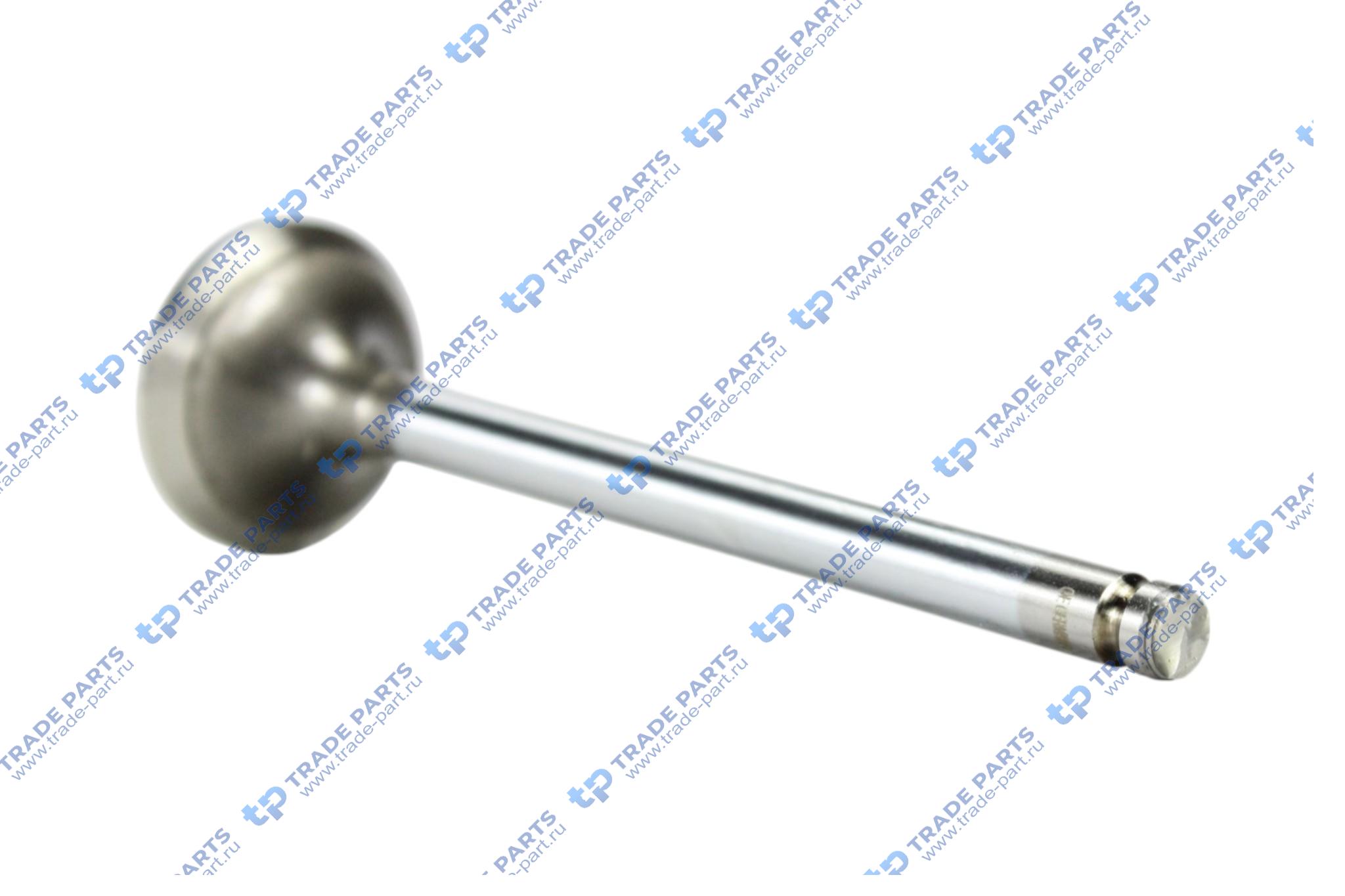 Реальная фотография клапан выпускной iveco daily (fiat)