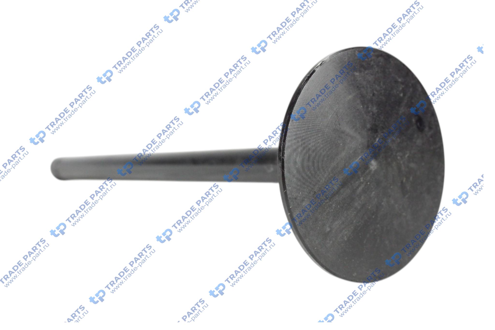 Реальная фотография клапан впускной iveco 8210