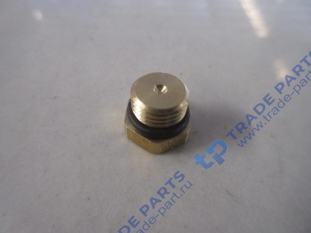 Реальная фотография заглушка м10х1 howo t5g, sitrak c7h