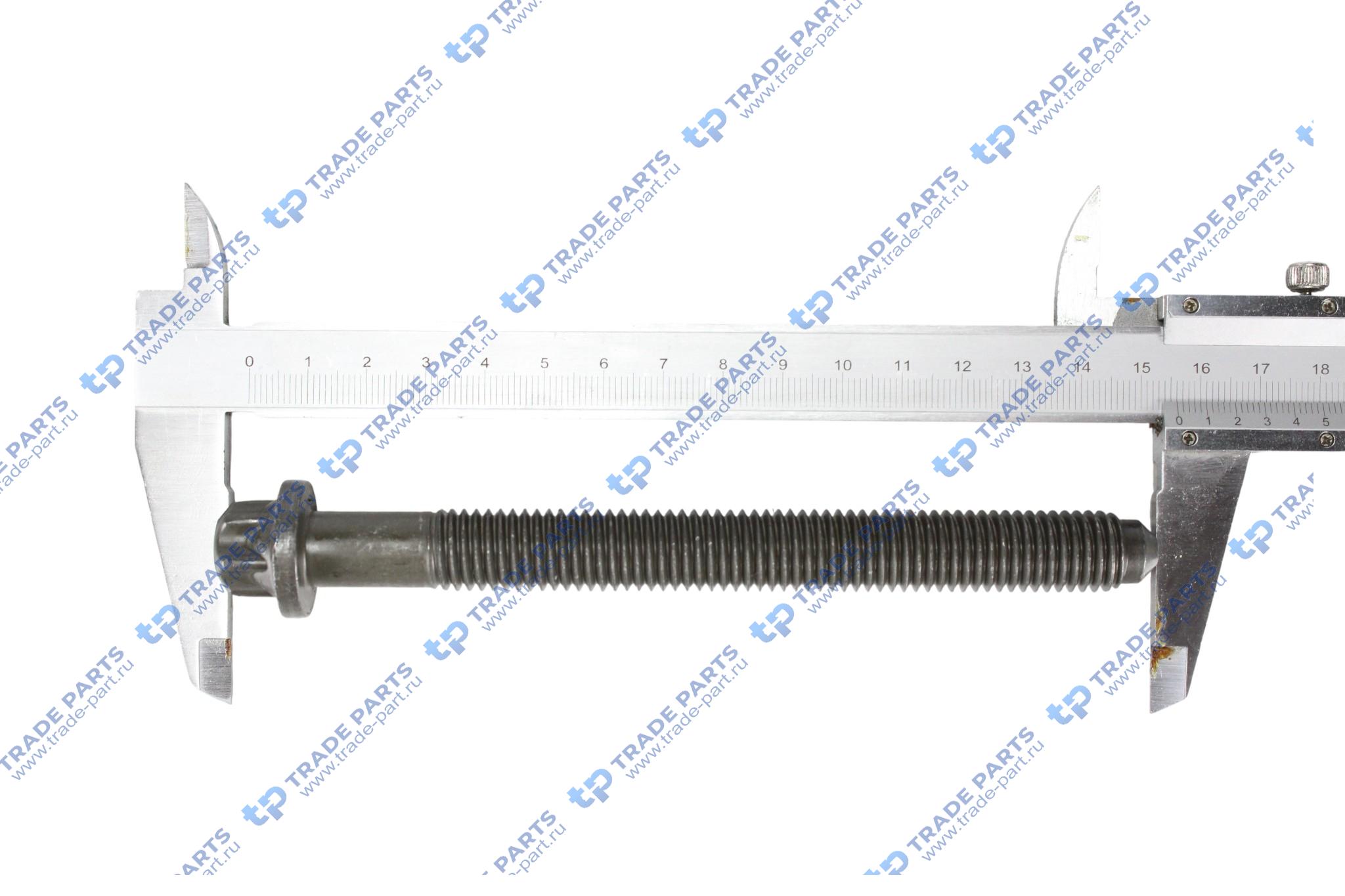 Реальная фотография болт гбц| m14x141 /deutz