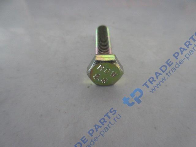 Реальная фотография болт клапанной крышки 01139584/4110000054144/4110000054171