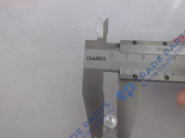Реальная фотография заклепка d=8 l=20