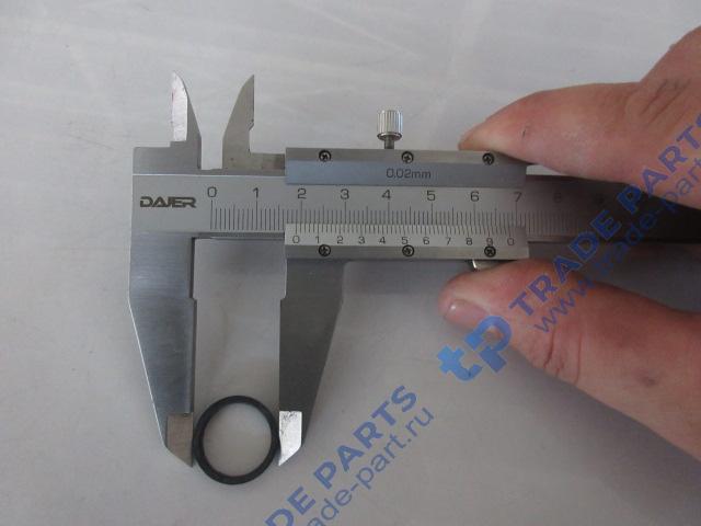 Реальная фотография кольцо уплотнительное форсунки