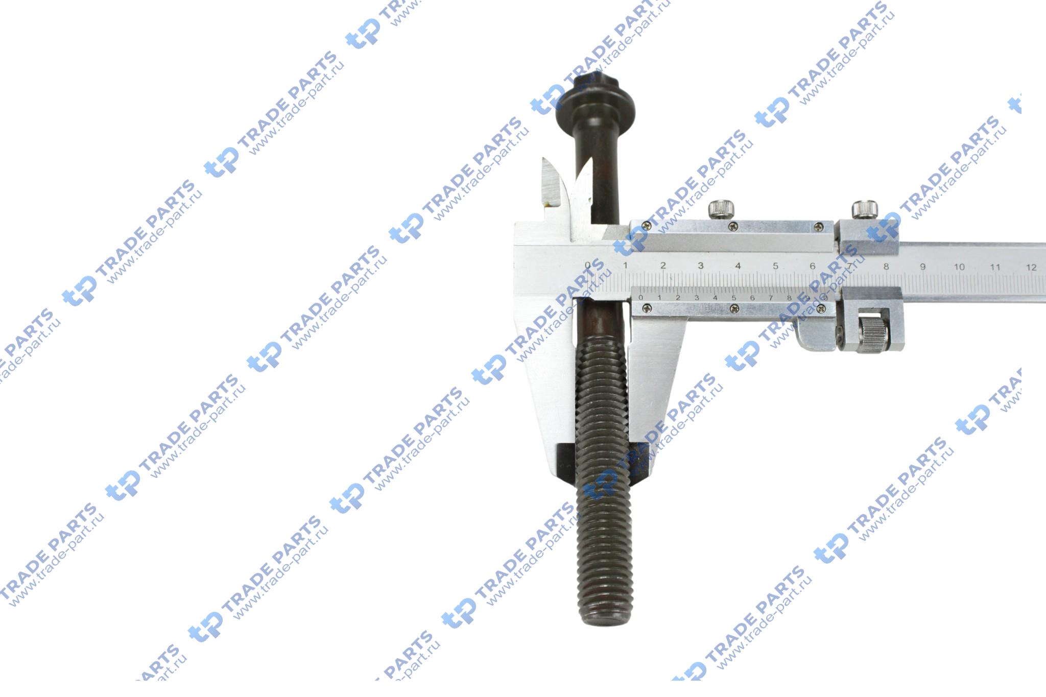 Реальная фотография комплект болтов гбц 8шт. m14x2x152 man d0834/ d0836