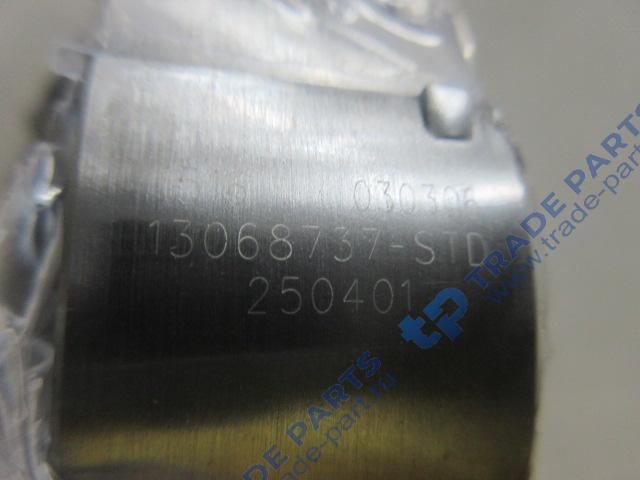 Реальная фотография вкладыши шатунные нового образца (комплект) качество о