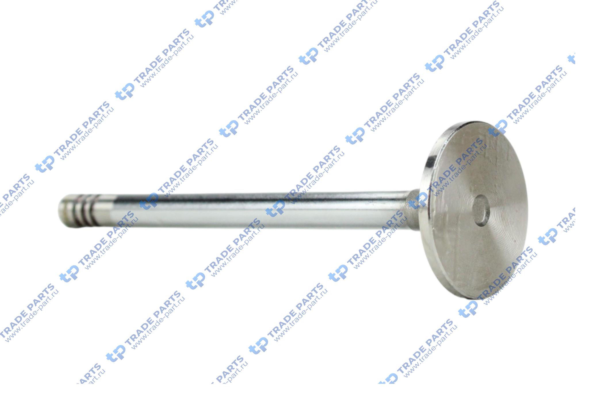 Реальная фотография впускной клапан