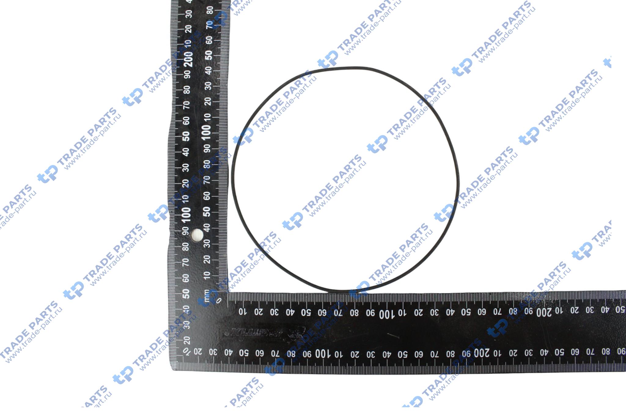 Реальная фотография кольцо гильзы уплотнительное man tga tgs tgx двигатель d2876 125х128 мм.