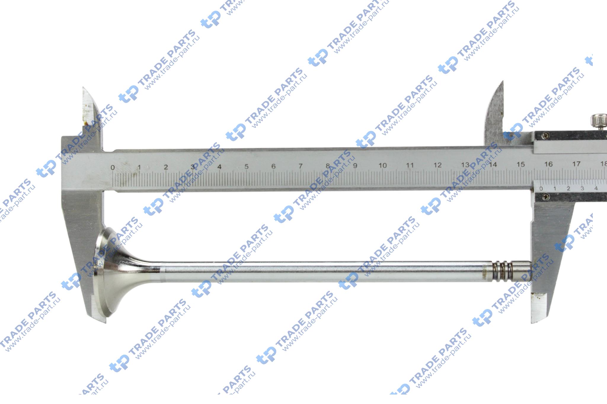 Реальная фотография выпускной клапан