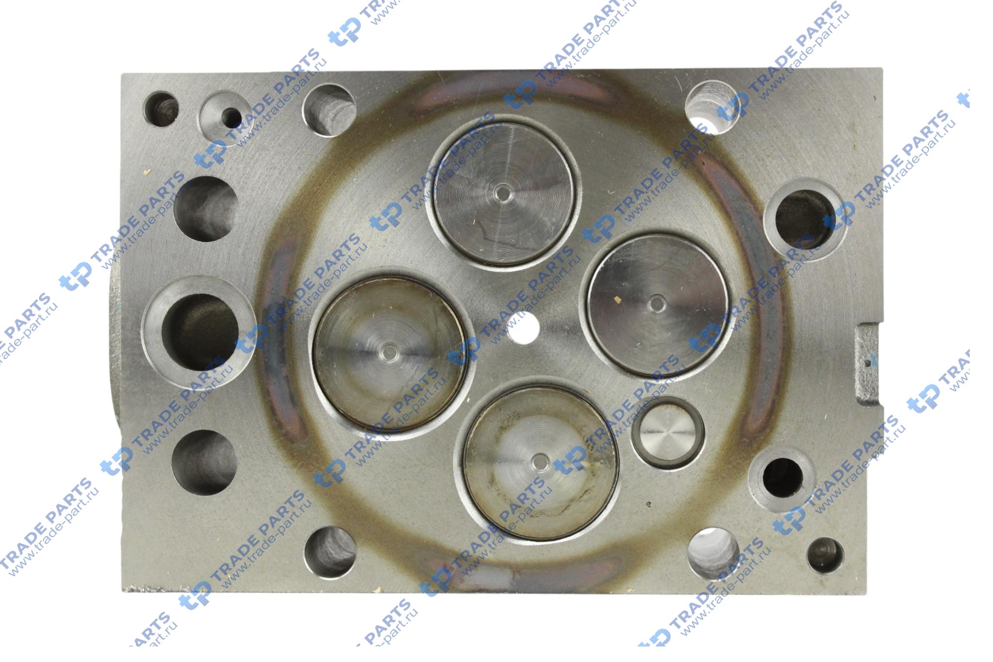 Реальная фотография головка блока цилиндров в сборе с клапанами камаз 5490, mb om457