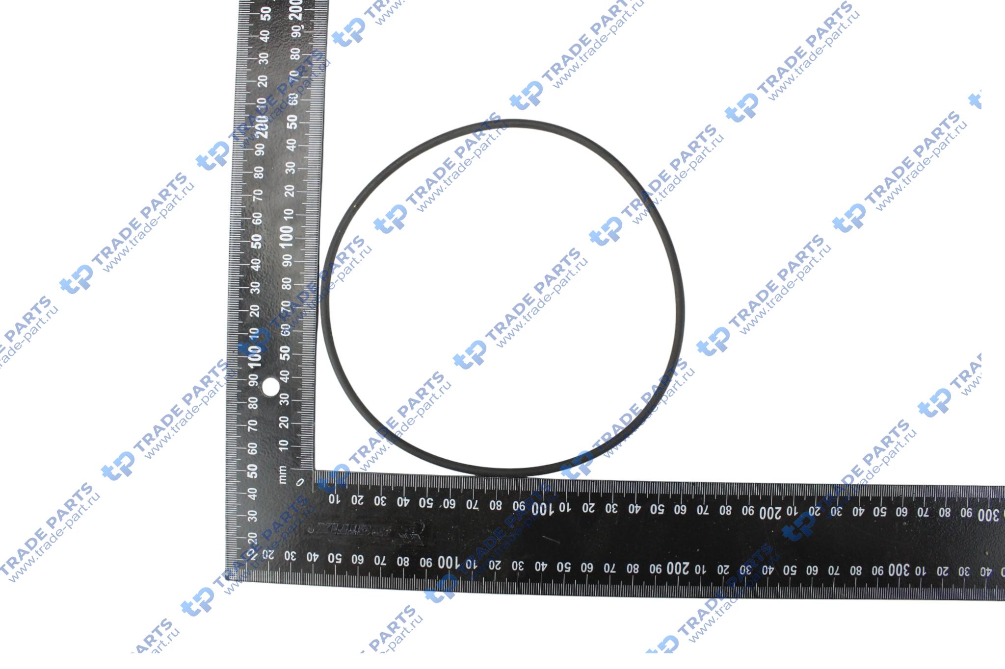 Реальная фотография комплект колец уплотнительных гильзы на 1цил. scania dc9///13, dsc12 (1шт 1730424 + 1шт 2031033) oeg