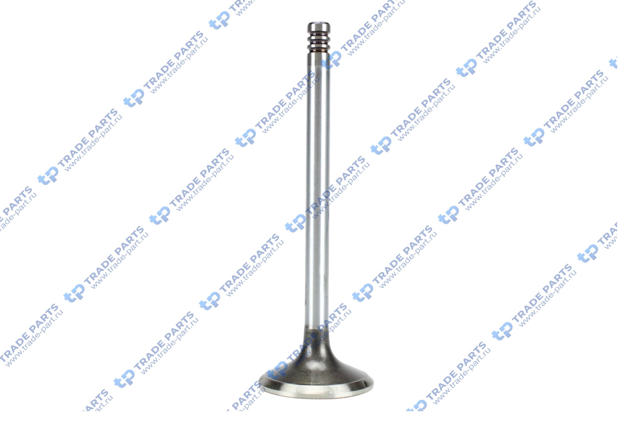 Реальная фотография клапан выпускной deutz tcd2012 8x38.8x121.2