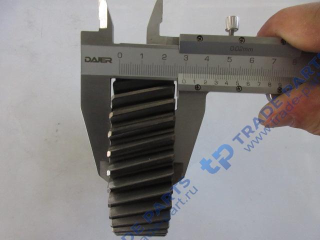 Реальная фотография шестерня коленвала