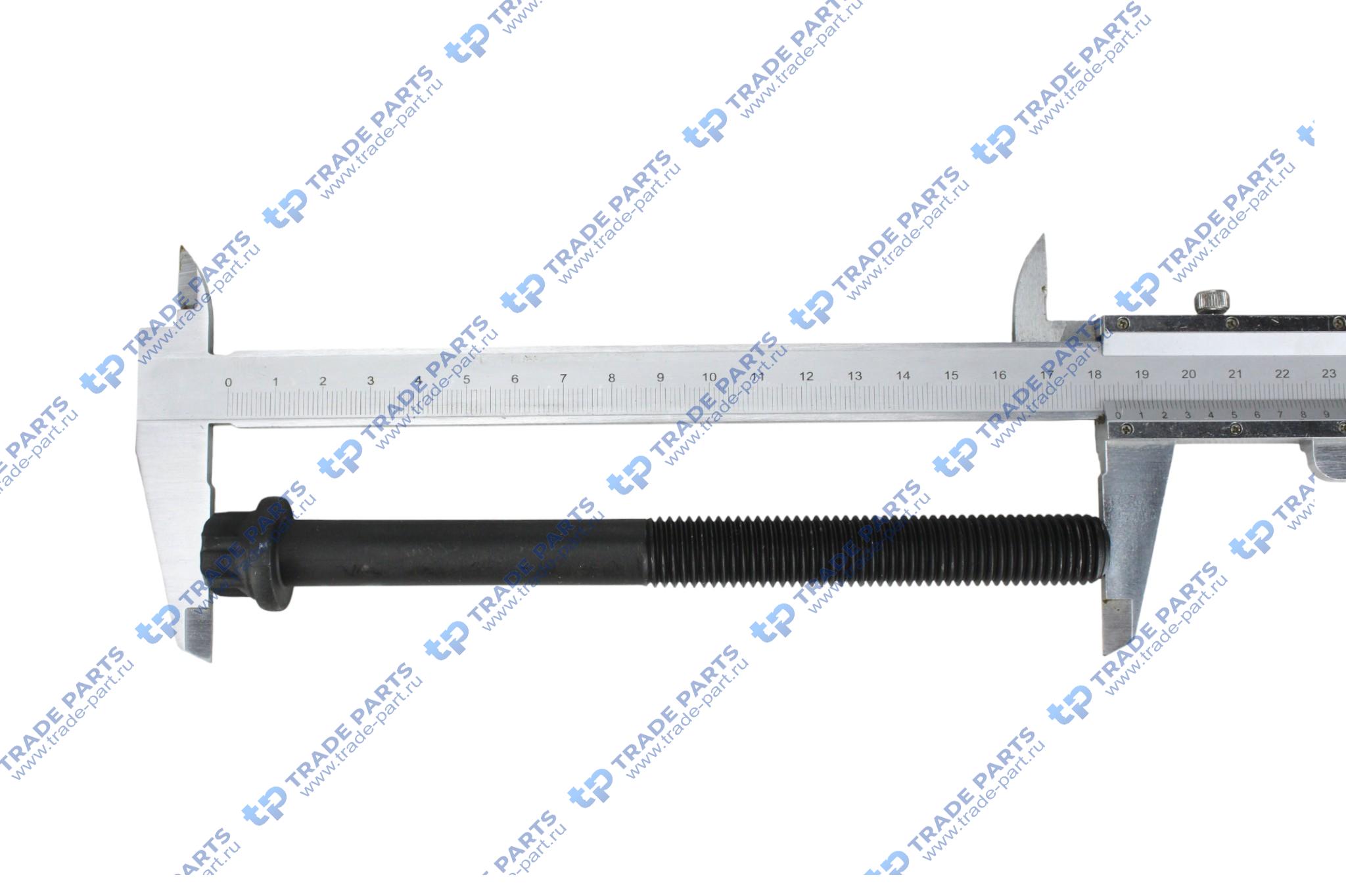 Реальная фотография болт гбц man m15x2x168мм torx; (x2 на гбц); d25.../28...гбц с 2-мя клапанами