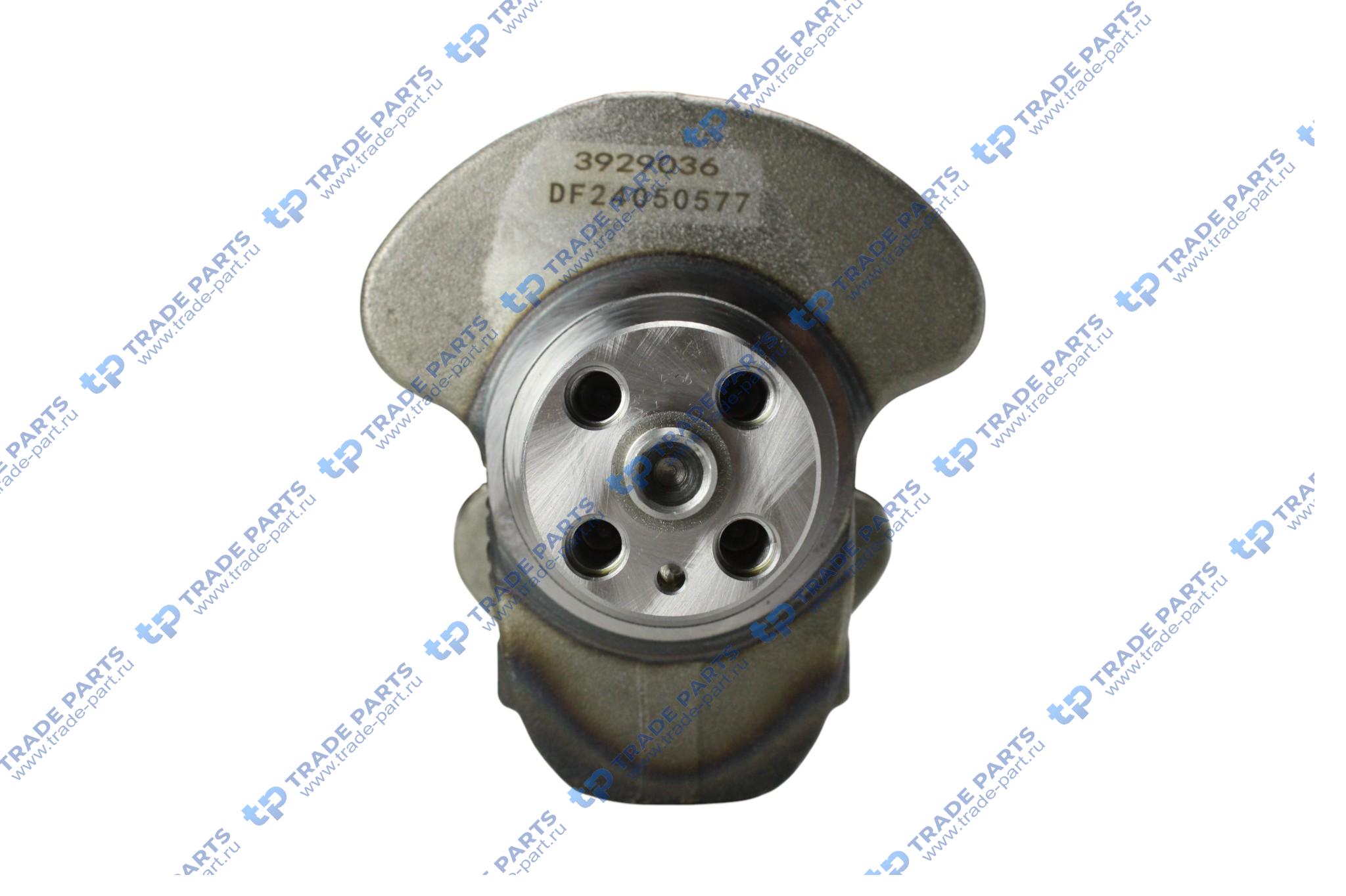 Реальная фотография вал коленчатый 4вт