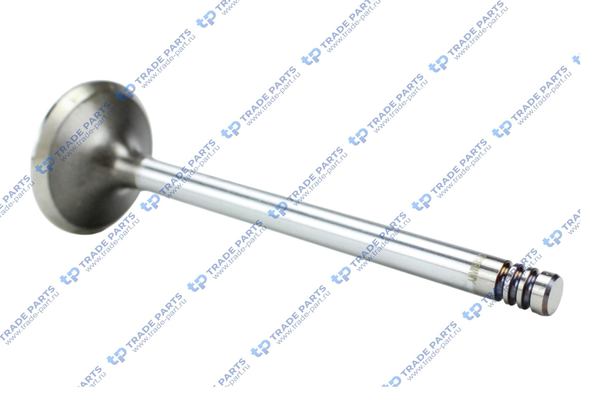 Реальная фотография клапан выпускной deutz tcd2012 8x38.8x121.2