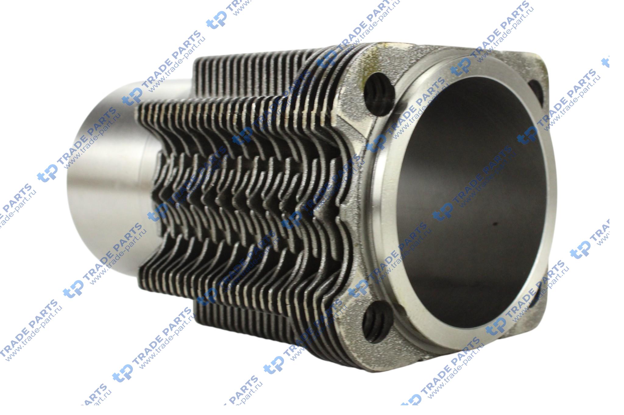 Реальная фотография поршневая в сборе deutz bf4/6l913 d102.0