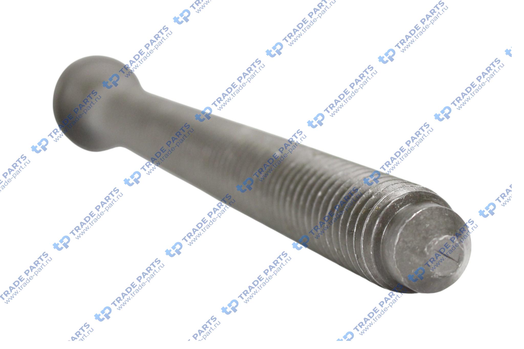 Реальная фотография болт гбц| m14x141 /deutz