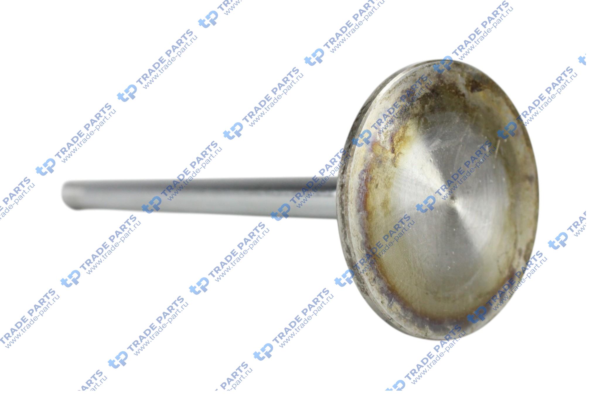 Реальная фотография впускной клапан iveco