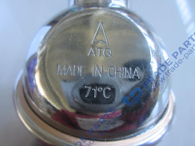 Реальная фотография термостат 71°с в корпусе