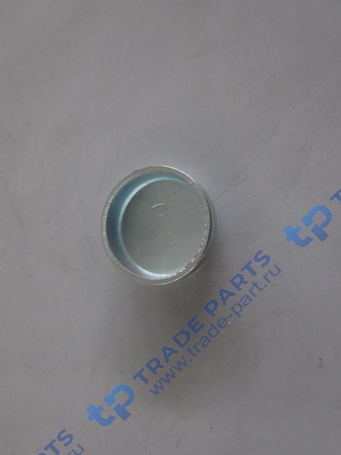 Реальная фотография заглушка блока цилиндров