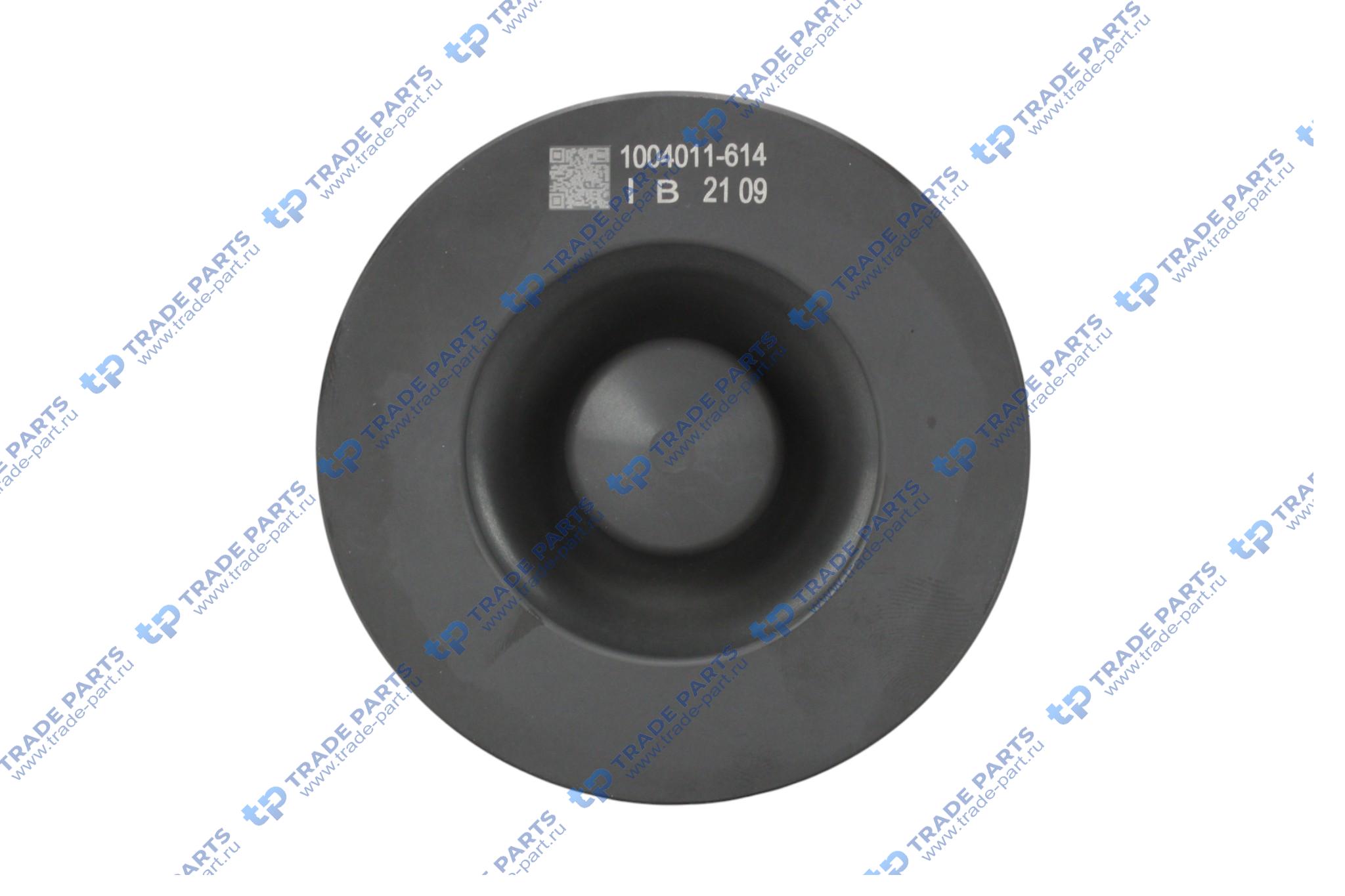 Реальная фотография поршневая группа  6dl2-36d  евро 2 l6140000-pj4p huatai