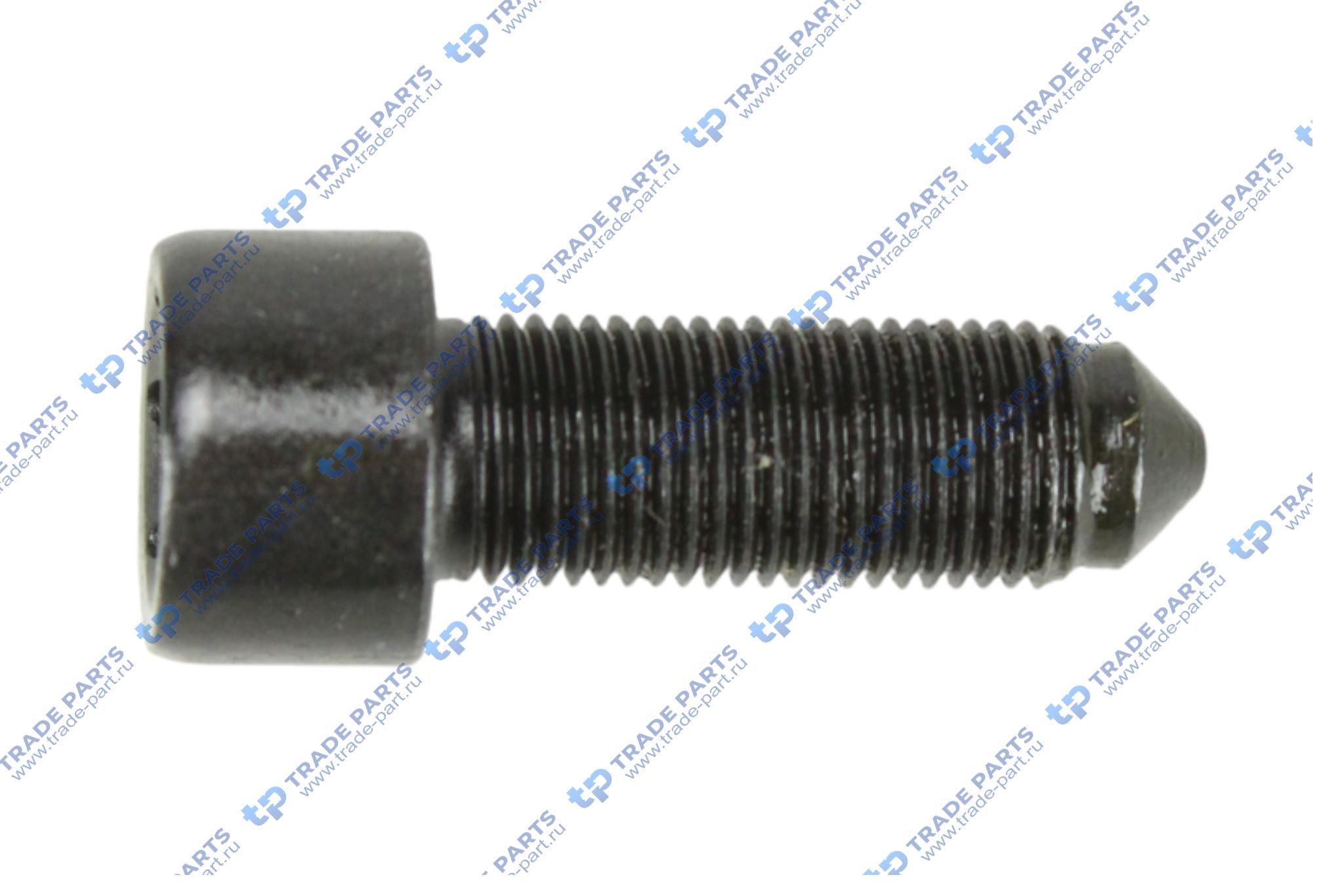 Реальная фотография болт крепления маховика mercedes om611om646 m10 x 1 x 22,5 mm