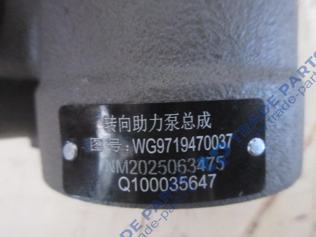 Реальная фотография насос гур zf8098