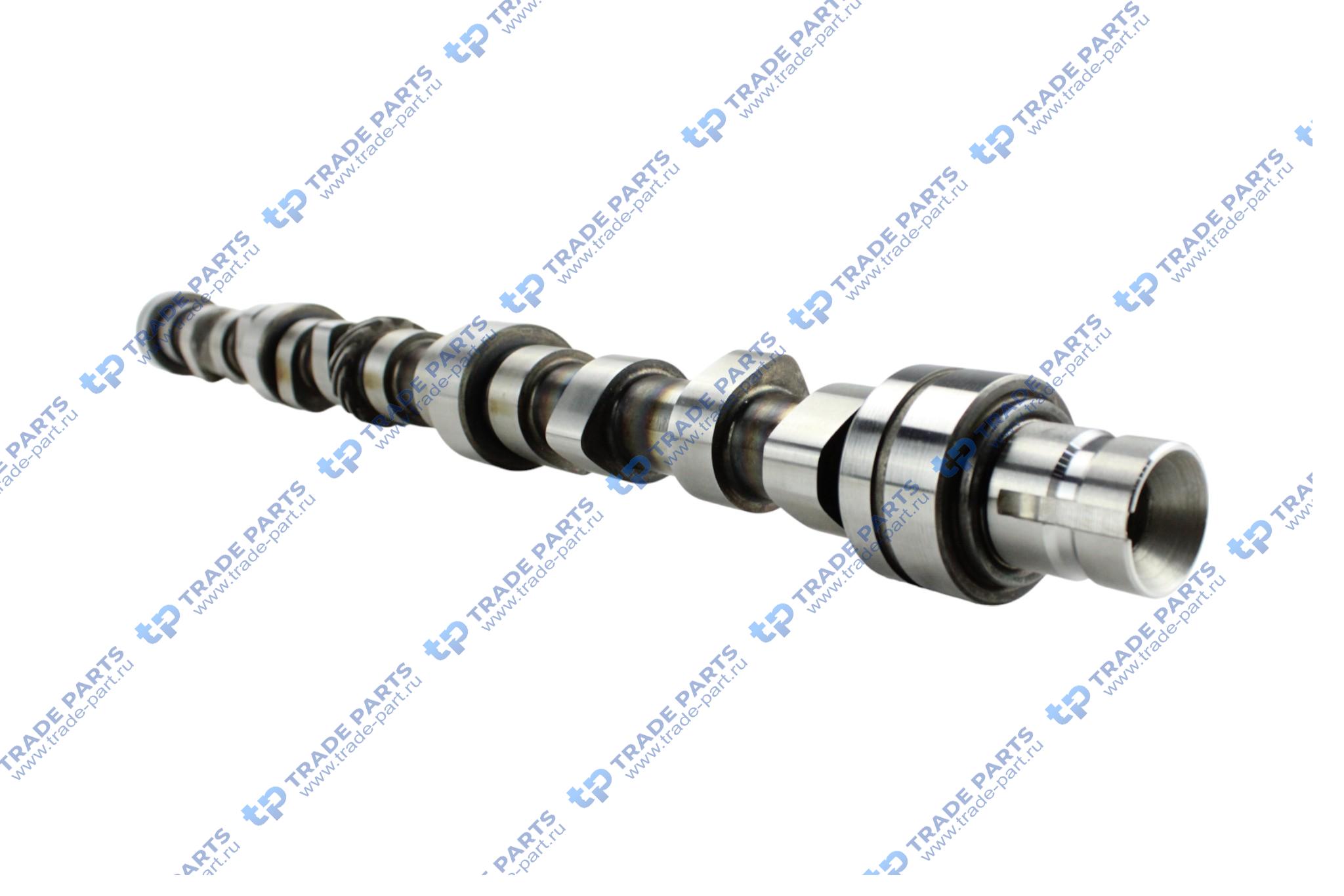 Реальная фотография вал распределительный mb om366/a/la (366 050 06 01) oeg