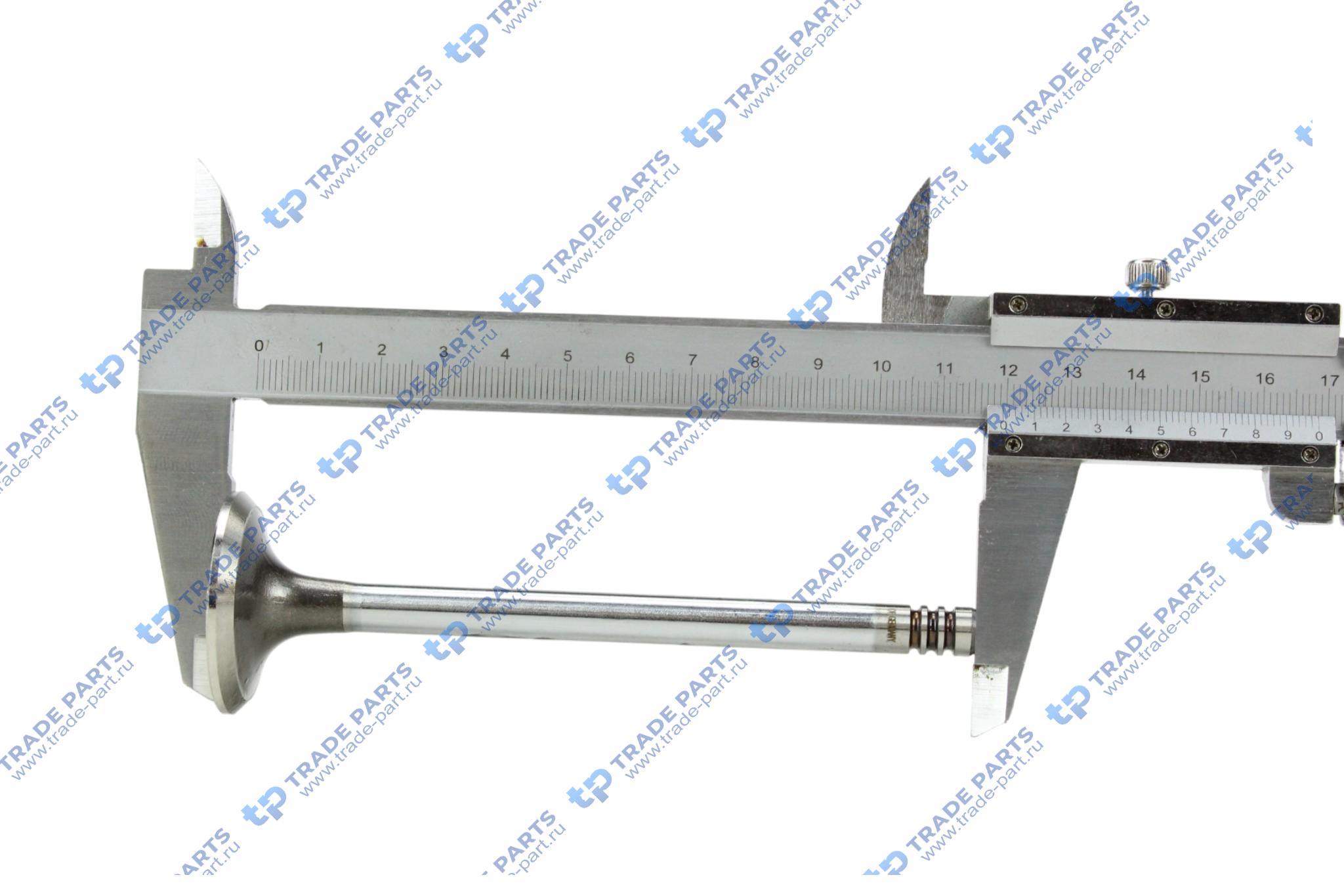 Реальная фотография клапан выпускной deutz bfm2012 8x36x119.4