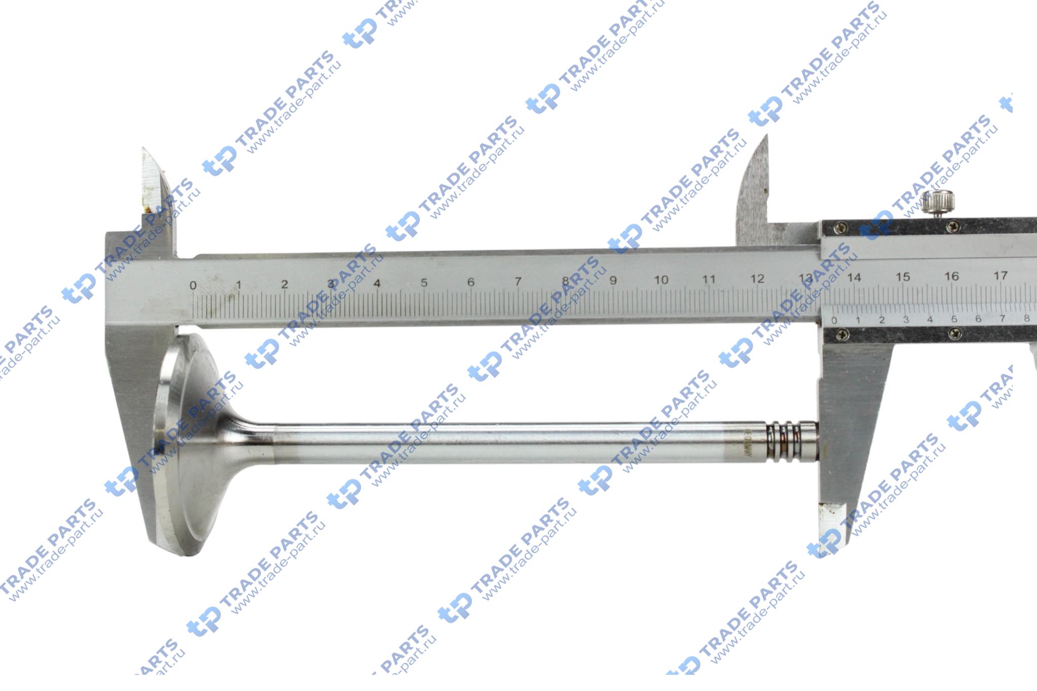 Реальная фотография клапан впускной deutz tcd2013 2v 9x48x135.5