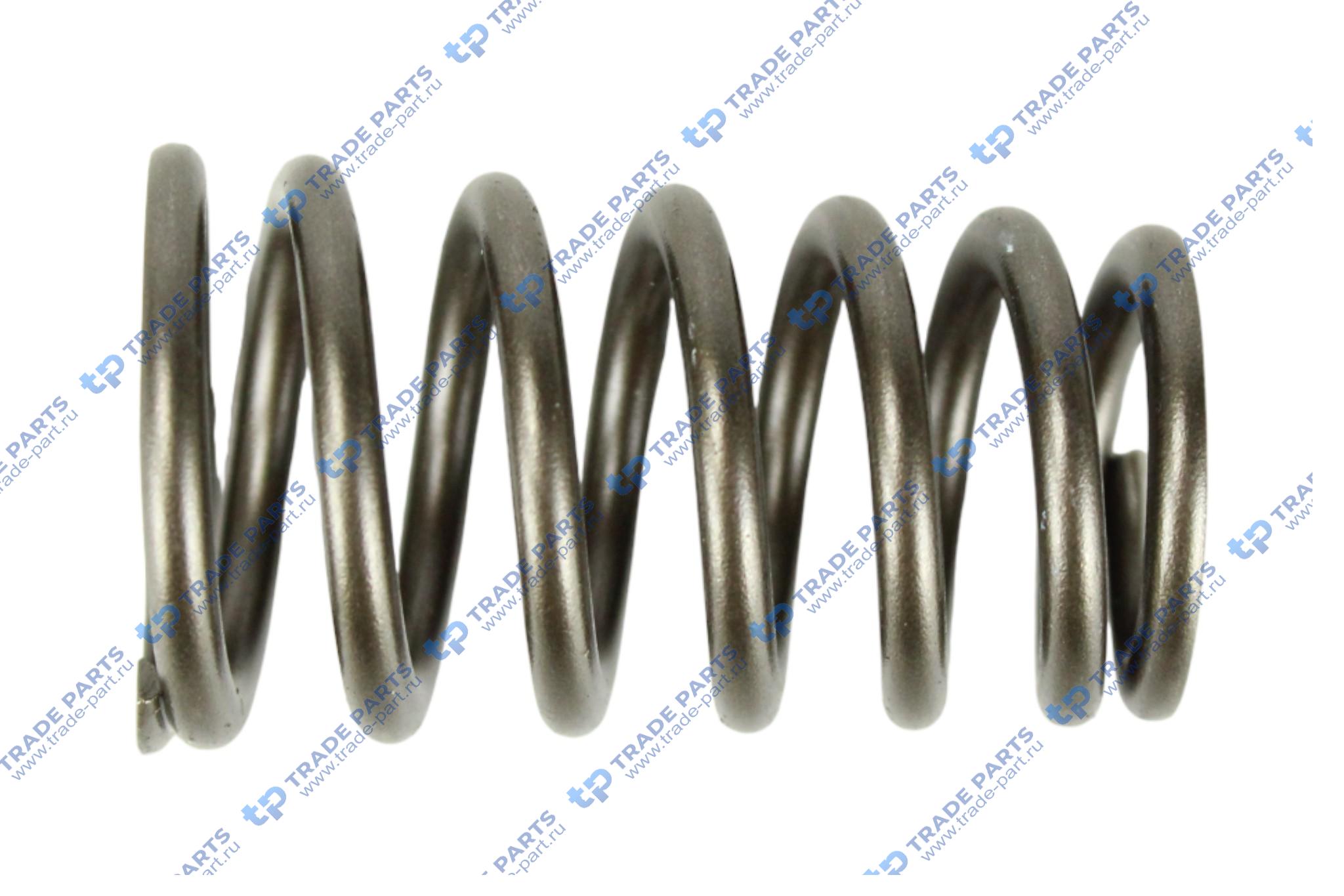 Реальная фотография пружина выпускного клапана mb om611 (a611 053 00 20) oeg