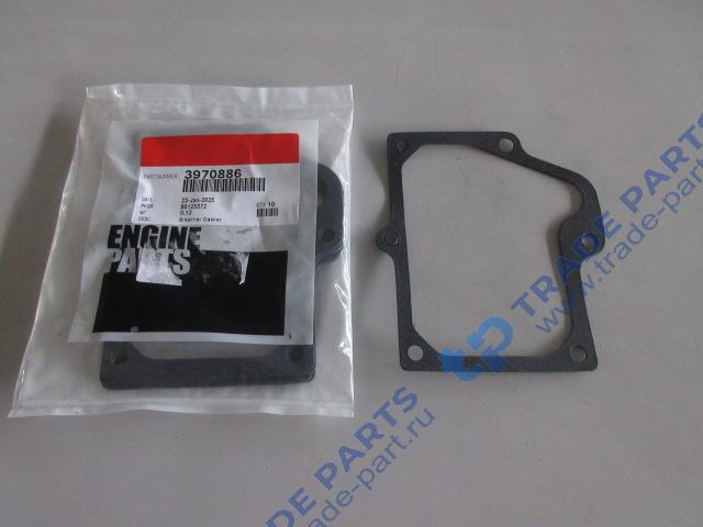 Реальная фотография прокладка сапуна