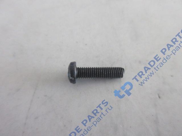 Реальная фотография винт с выпуклой головкой и крестообразным шлицем качество о