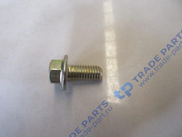 Реальная фотография болт с фланцем м10*25 sitrak качество о