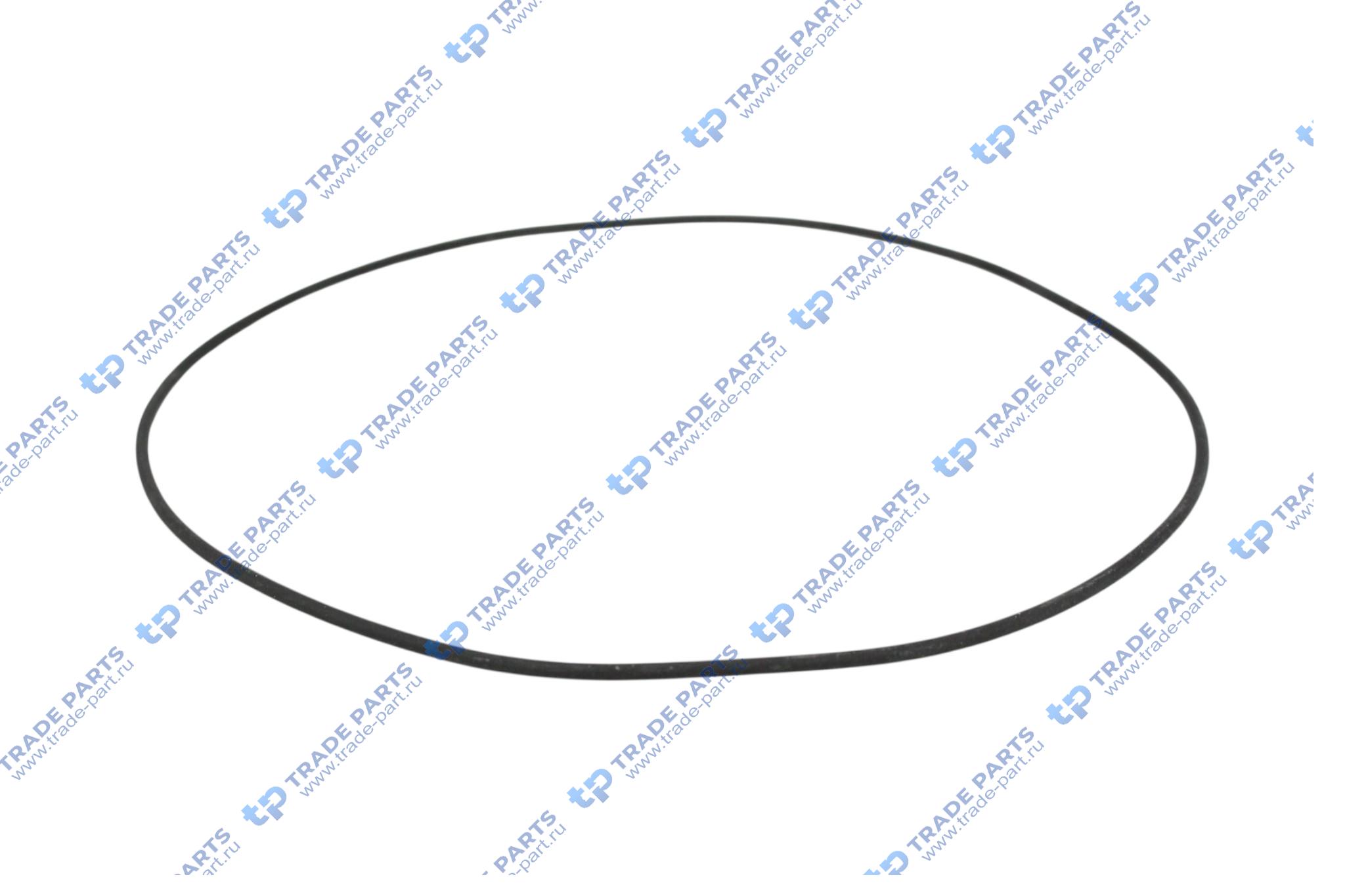 Реальная фотография кольцо гильзы уплотнительное man tga tgs tgx двигатель d2876 125х128 мм.